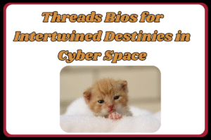 500+ Love Bio for Threads: cute, Best Romantic, And Heart Touching