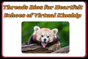 500+ Love Bio for Threads: cute, Best Romantic, And Heart Touching