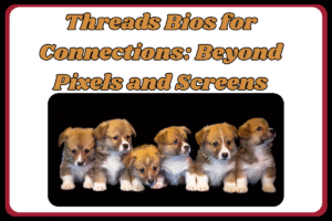 500+ Love Bio for Threads: cute, Best Romantic, And Heart Touching