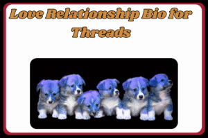 500+ Love Bio for Threads: cute, Best Romantic, And Heart Touching