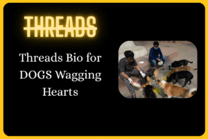 500+ Threads Bio for Dog Lovers