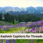 Kashmir Captions for Threads